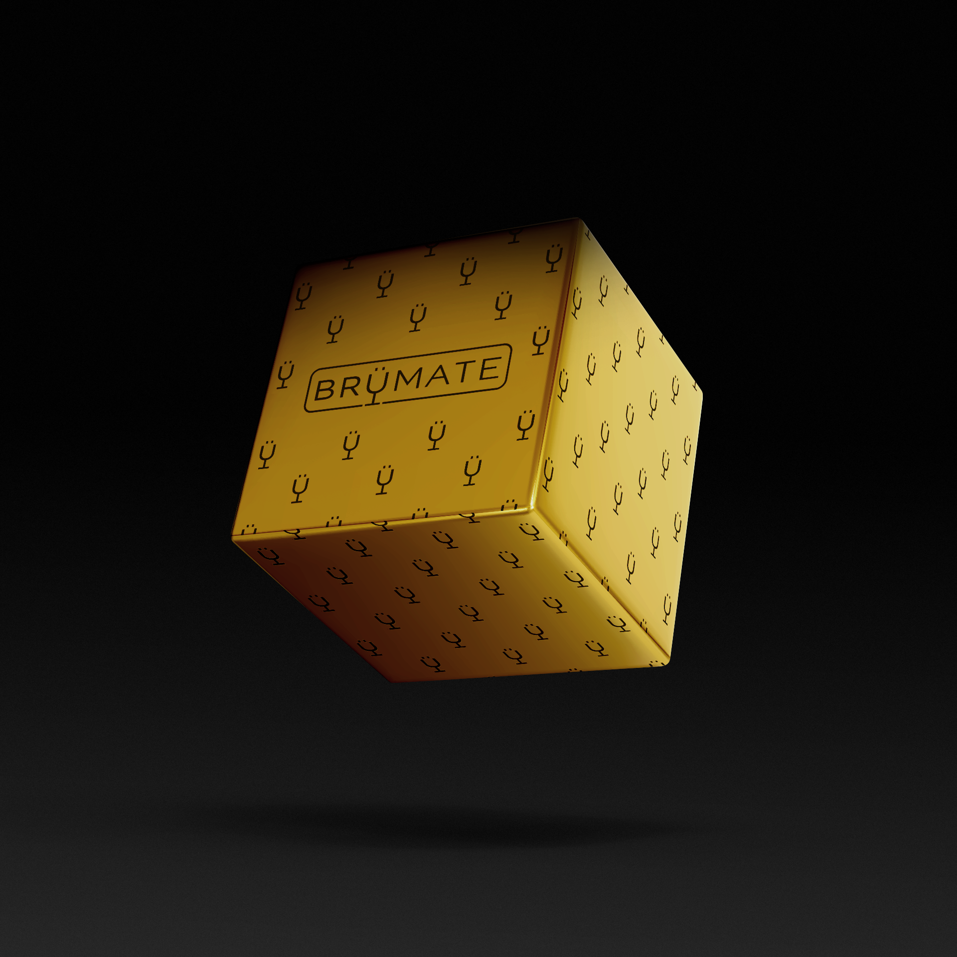 Premium Mystery Item ($39-70 Value)